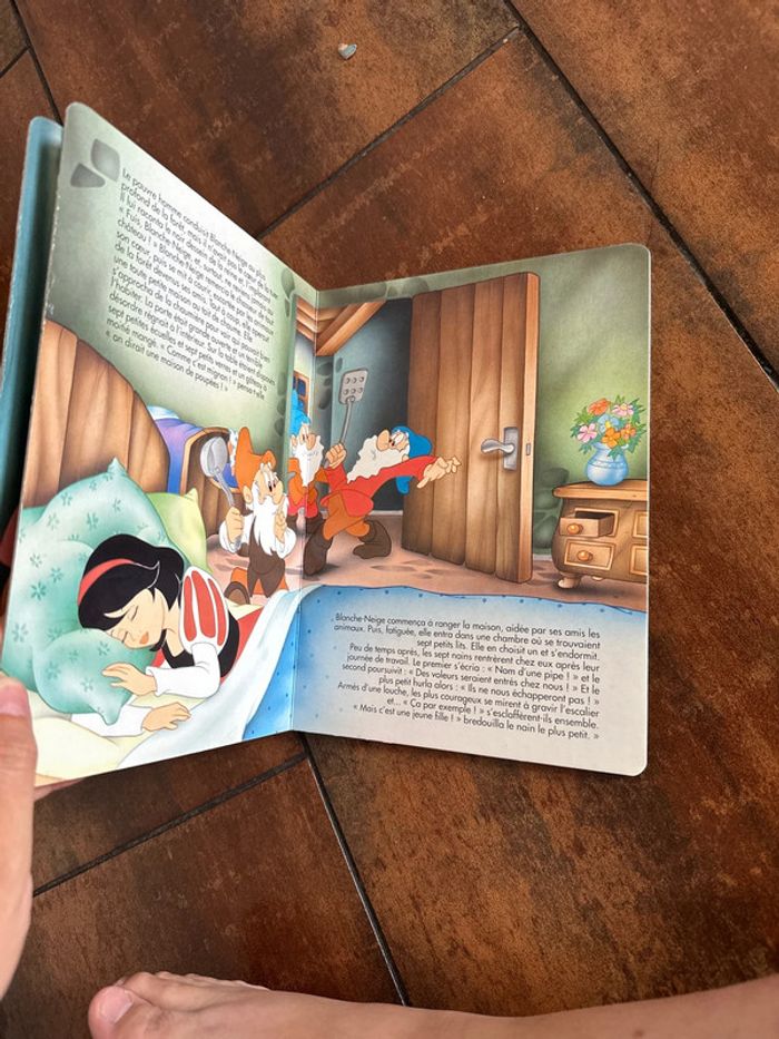 Livre blanche neige - photo numéro 5