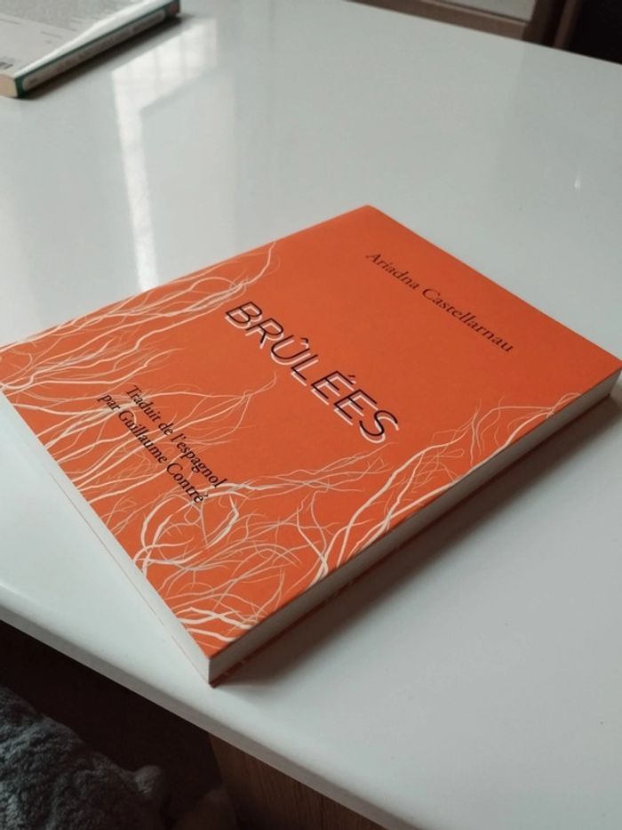 Livre brûlées Ariadna Castellarnau - photo numéro 3