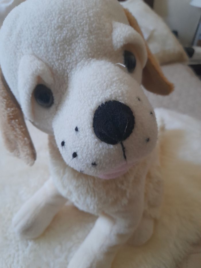 Jolie peluche chien  beige - photo numéro 2
