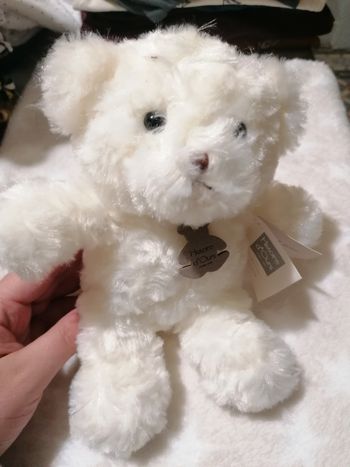 Peluche ourson