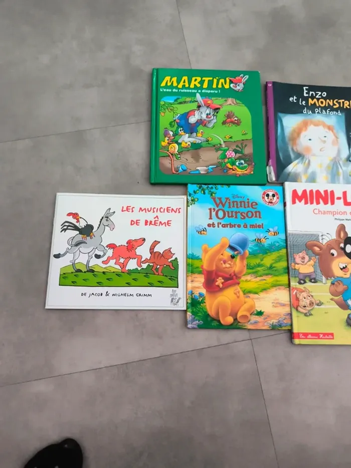Mini loup et autres livres - photo numéro 2