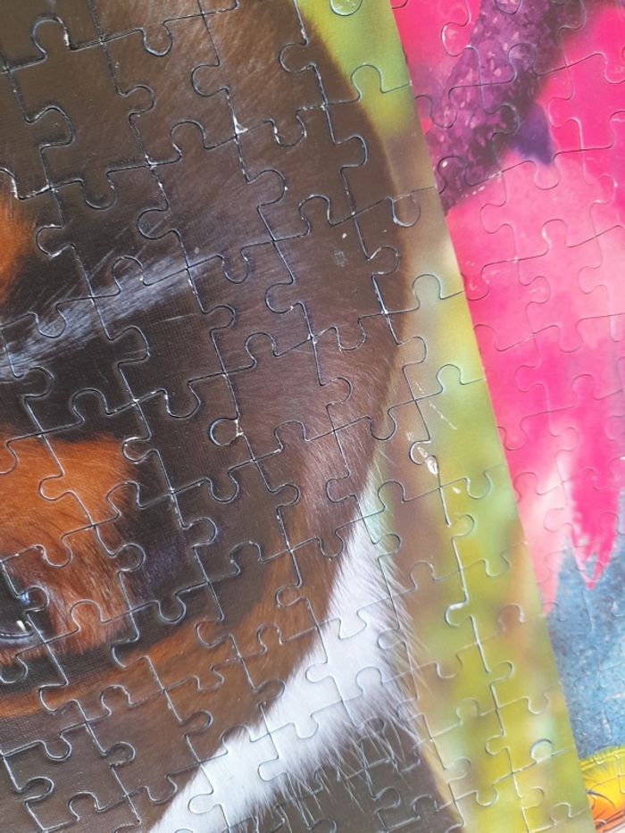 Puzzle 2 chiens 500 pièces - photo numéro 2