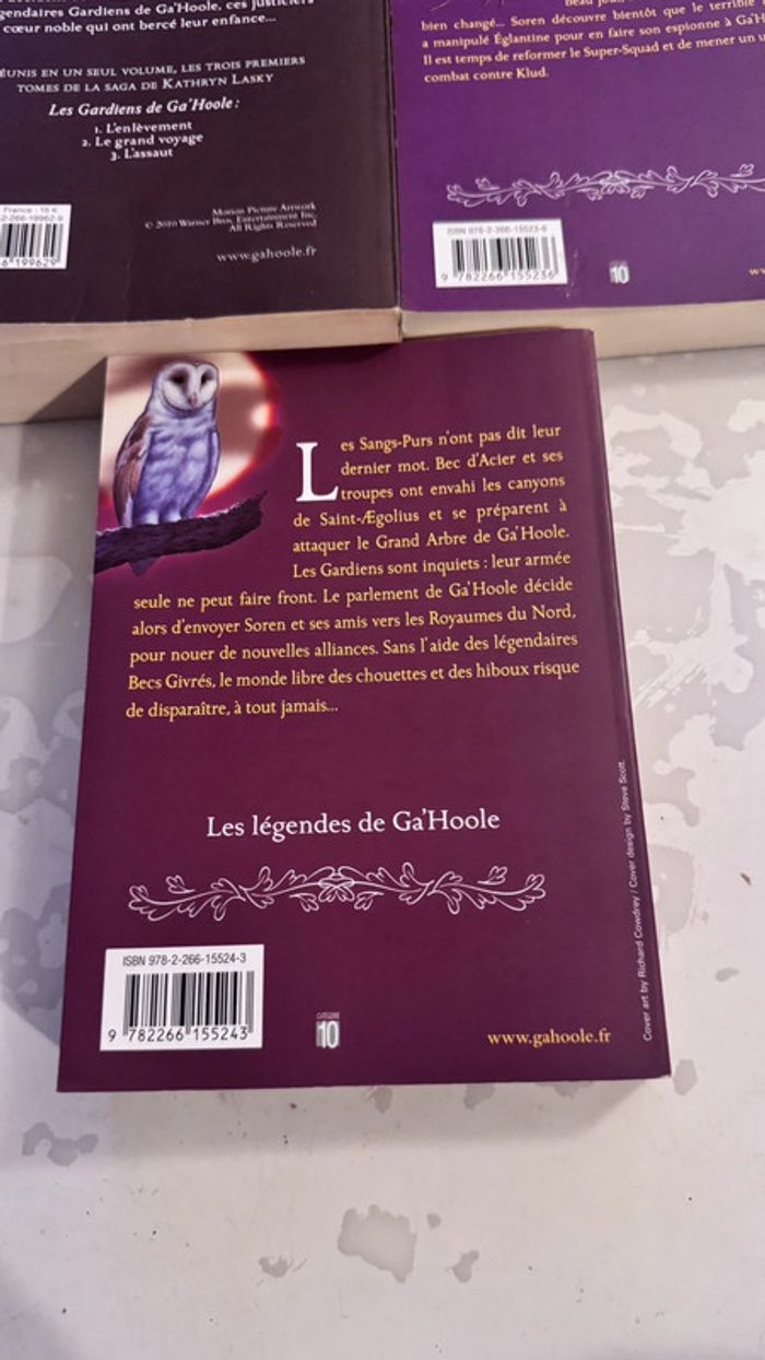 Lot 3 livres Les Gardiens de Ga’Hoole – Kathryn Lasky – Tomes 1 à 3 + 5 & 6 – Pocket Jeunesse - photo numéro 10