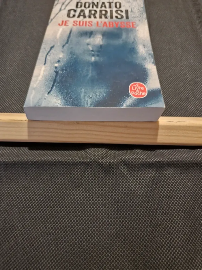Je suis l'Abysse - Donato Carrisi - photo numéro 2