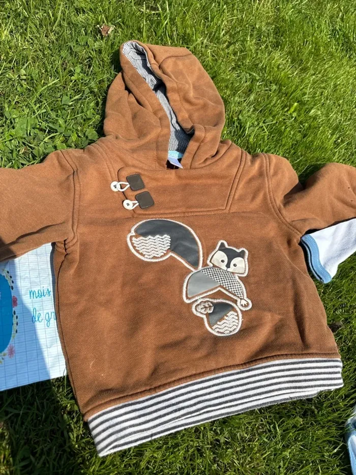 Lot d’un pull à capuche obaibi  2 bodies petit bateau  9 mois - photo numéro 2