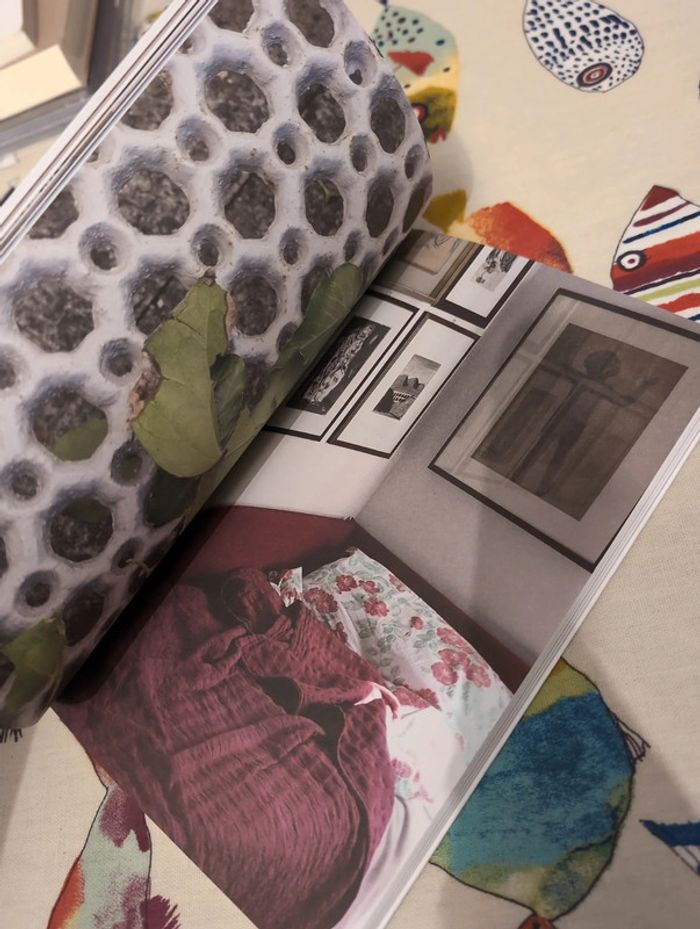 Giuseppe Caccavale - photo numéro 5