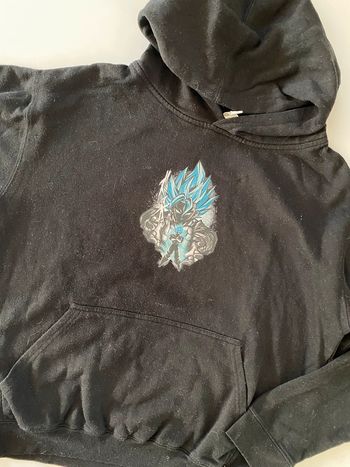 Pull dragon ball z 14 ans