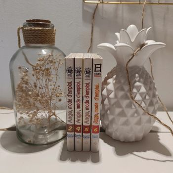 Manga ange mode d'emploi tomes 2/4/5 et 6