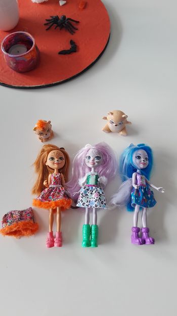 Lot de poupées enchantimals