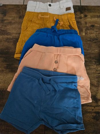 Lot 5 short
