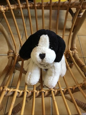 peluche 