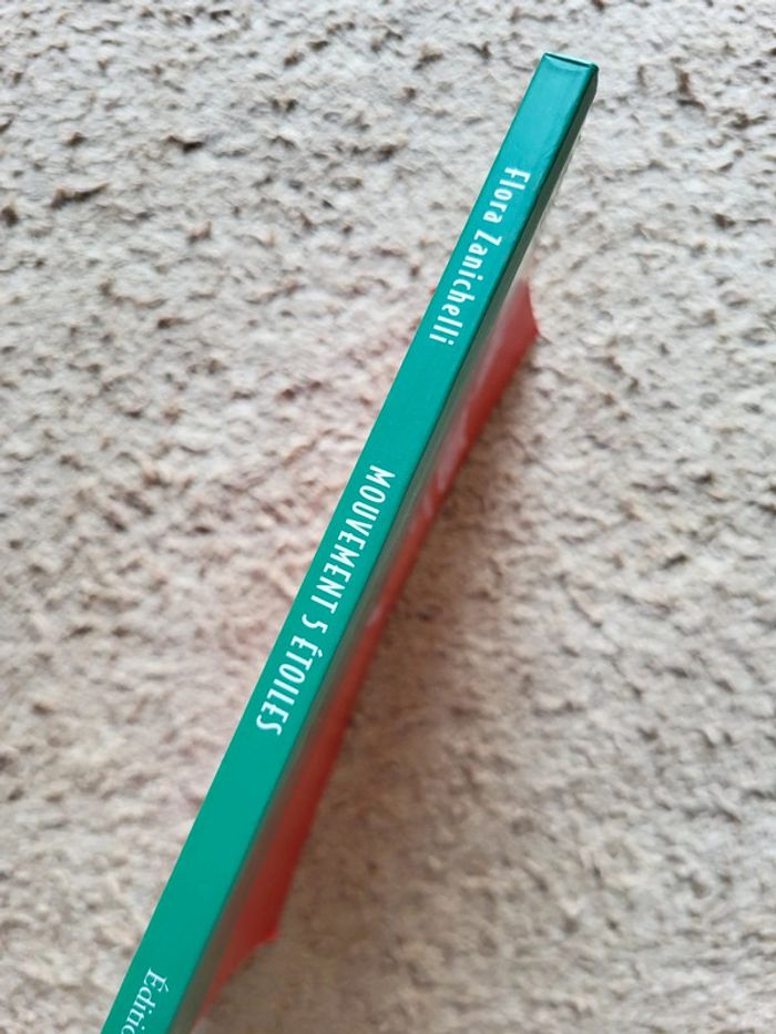 Livre Mouvement 5 Étoiles, pour une autre politique en Italie de Flora Zanichelli - photo numéro 4