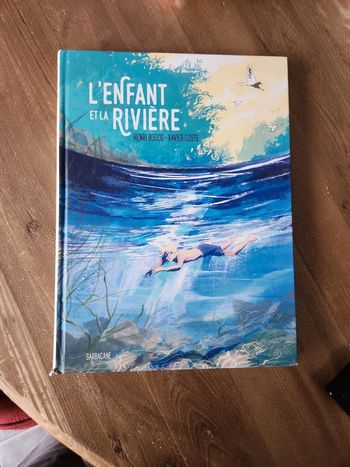 Bande dessinée : L'enfant et la rivière