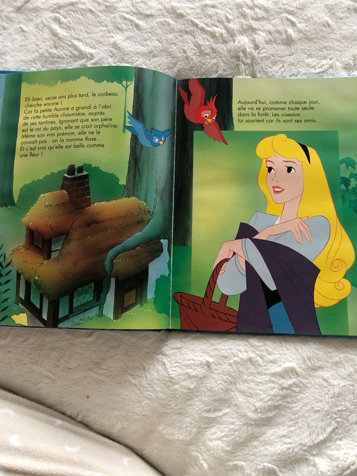 Livre La belle au bois dormant - photo numéro 3