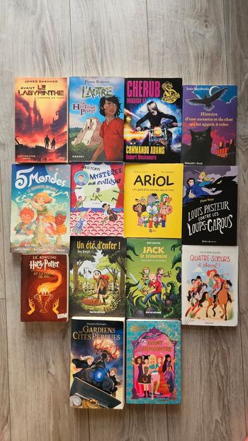 2- livres pour adolescents au choix