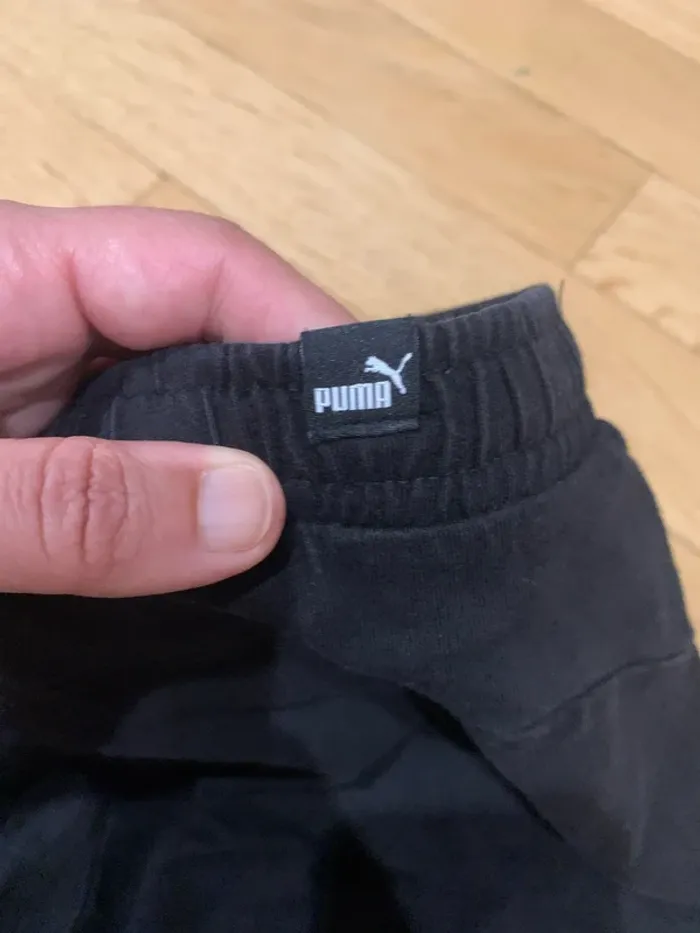 Short puma - photo numéro 3
