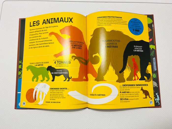 L’âge de Pierre - photo numéro 9