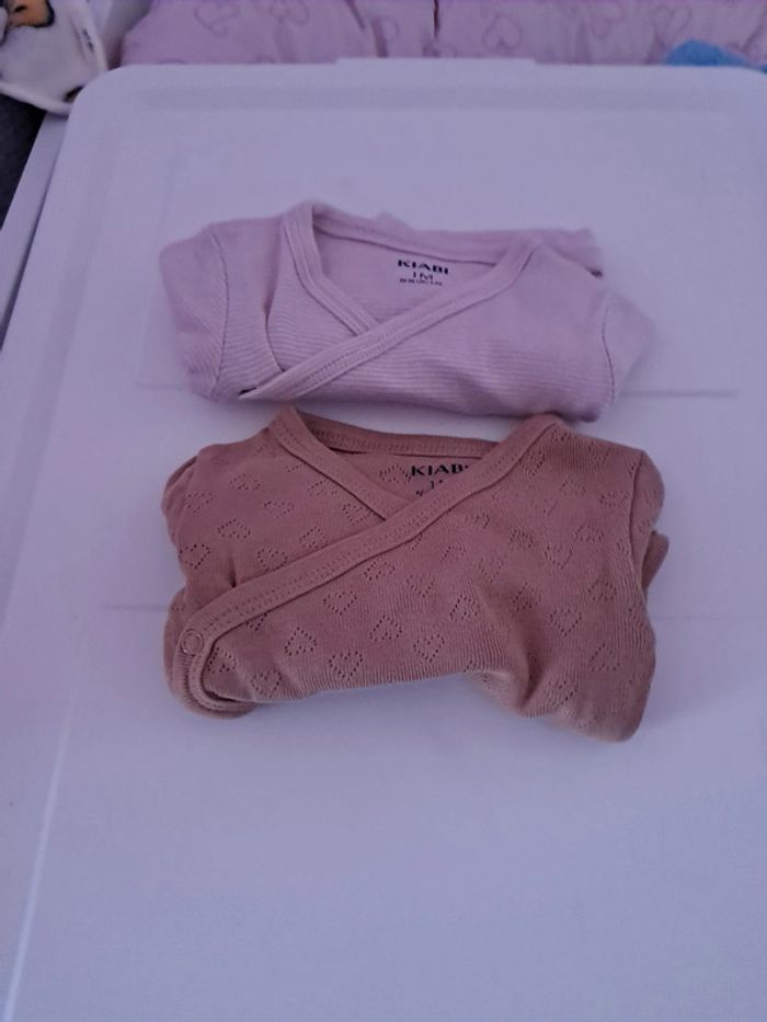 Bodies