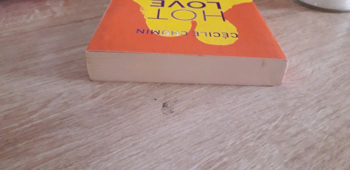 Livre - photo numéro 6