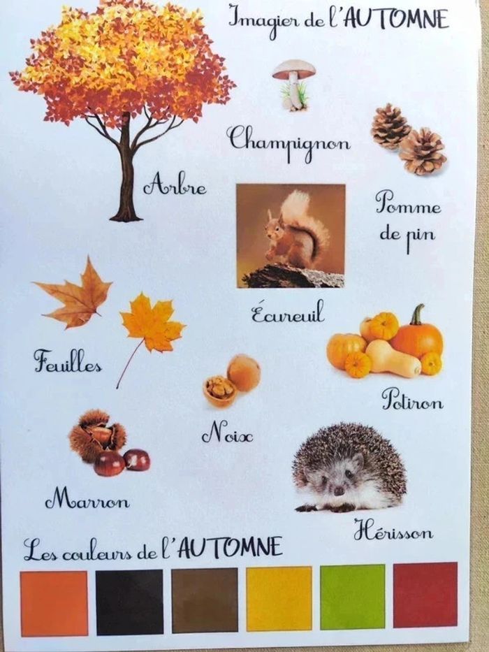 Imagier de l'automne A4 - photo numéro 2