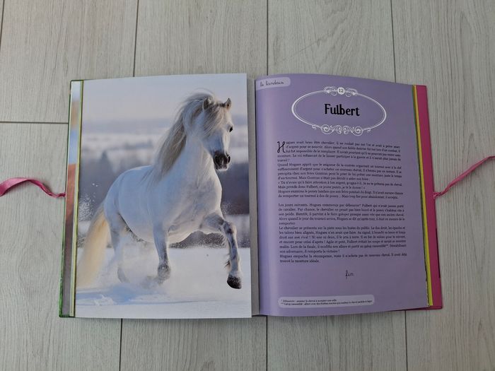 Livre Mes plus belles histoires de poney 🐴 - photo numéro 3