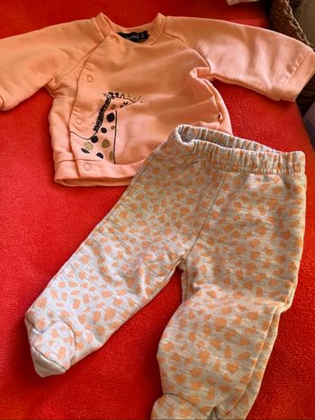 Petit ensemble giraphe
