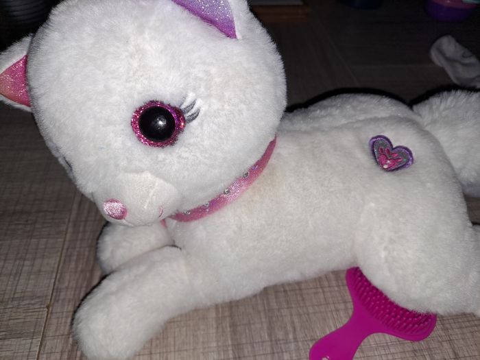 Chat Cuty Bella - photo numéro 2