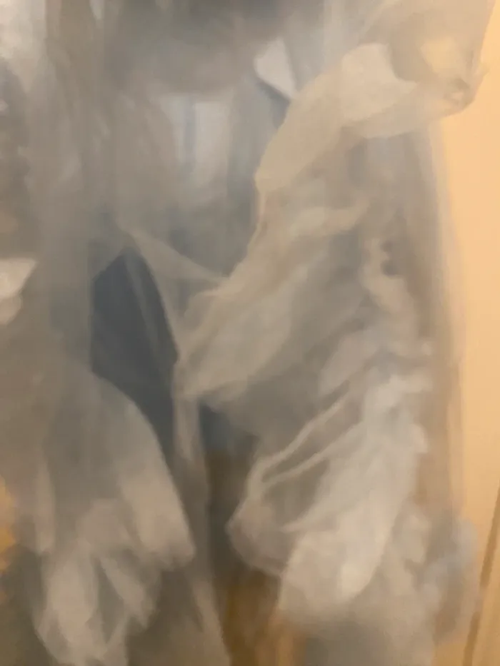 Robe cérémonie - photo numéro 3
