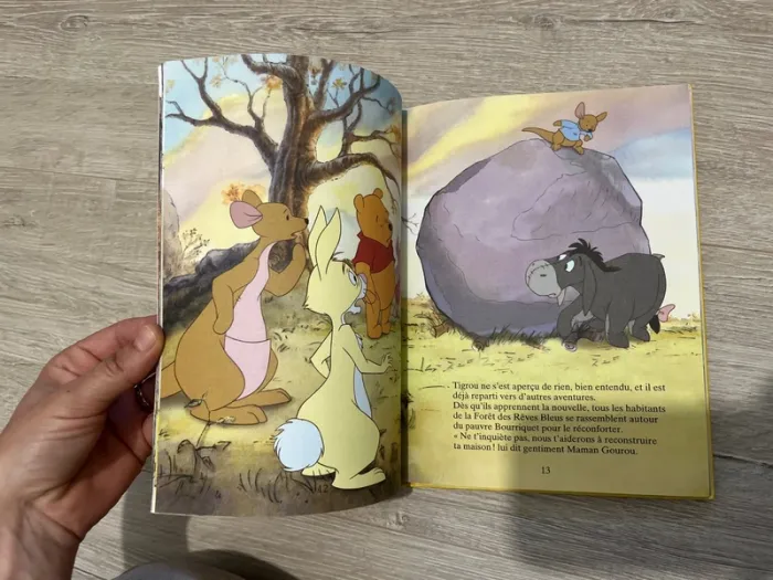Les aventures de tigrou - photo numéro 5