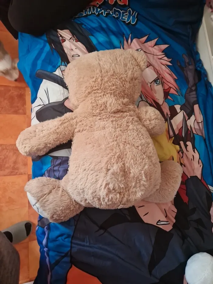 Énorme nounours - photo numéro 2