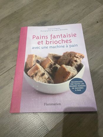 Recettes pains fantaisie et brioches