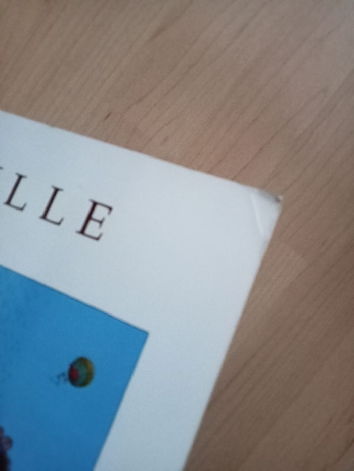 Livre enfant Pétronille - photo numéro 4