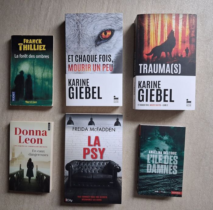 Lot 6 Thrillers - Karine Giebel - Angélina Delcroix - Freida McFadden