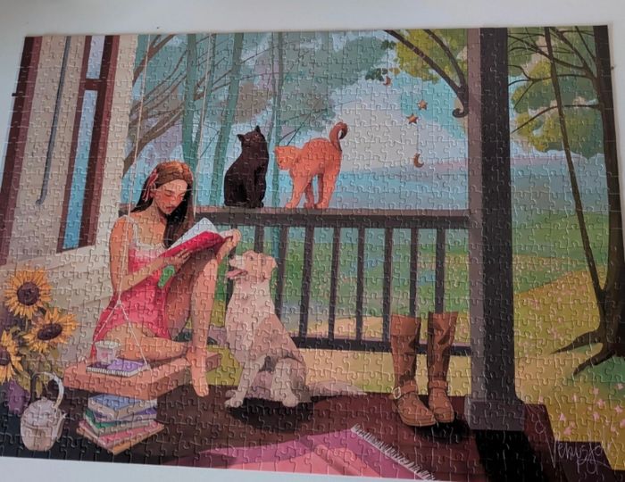 Puzzle 1000 pièces - photo numéro 2