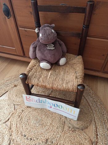 Hippopotame histoire d'Ours tbe