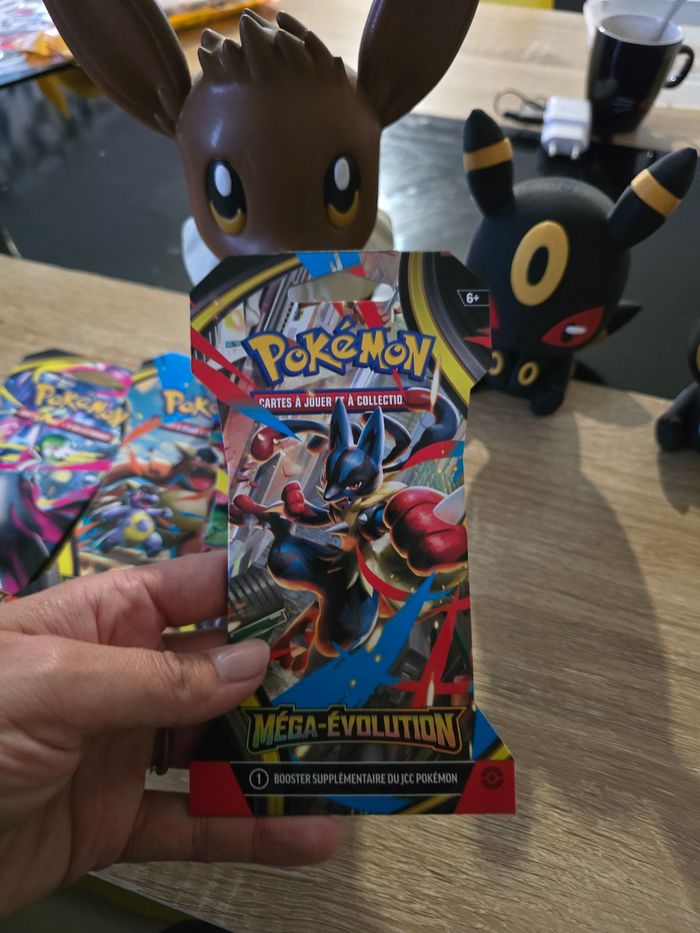 Pokemon megaEvolution - photo numéro 2