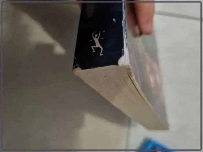 Livre - photo numéro 5