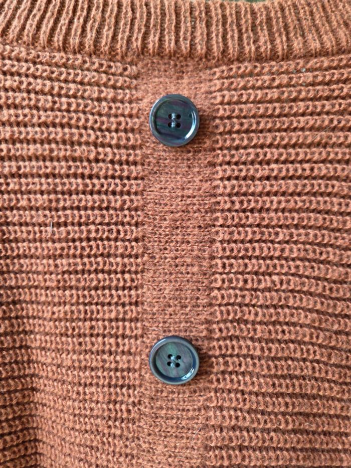 Pull camel - photo numéro 5