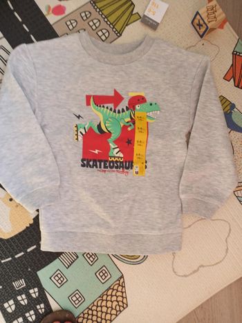 Sweat dinosaures roller