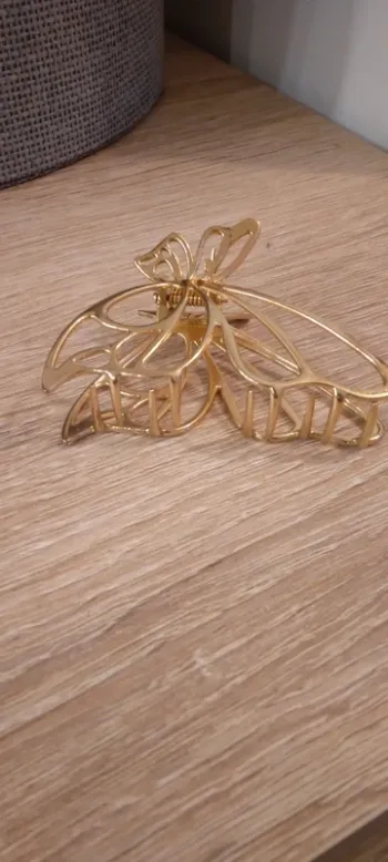 Lot de 4 barrettes et pince