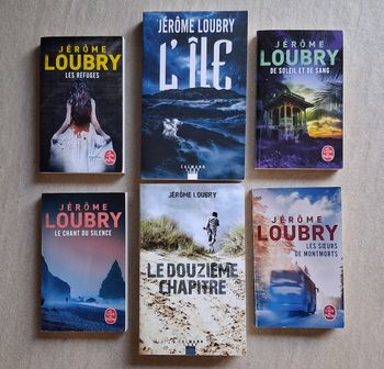 6 romans de Jérôme Loubry