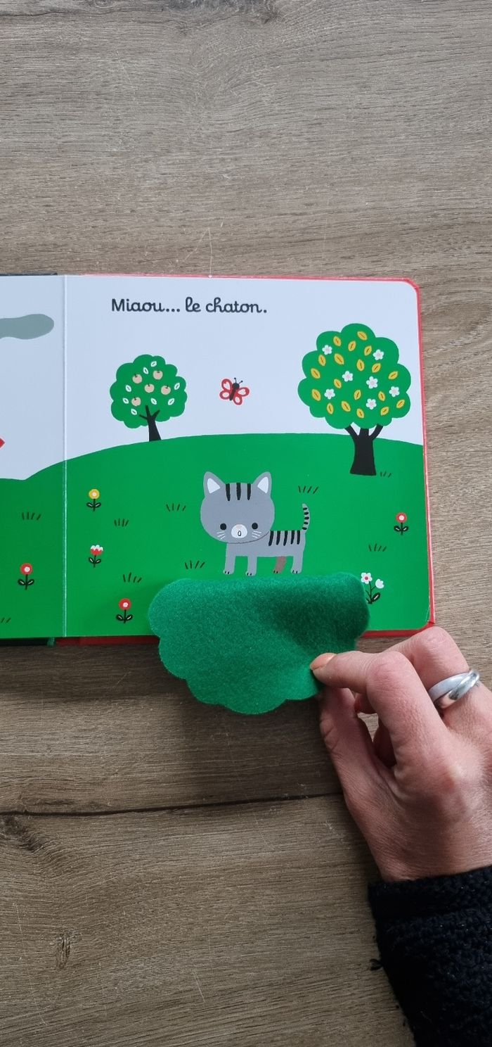 Livre à volets : On se cache ? - photo numéro 5