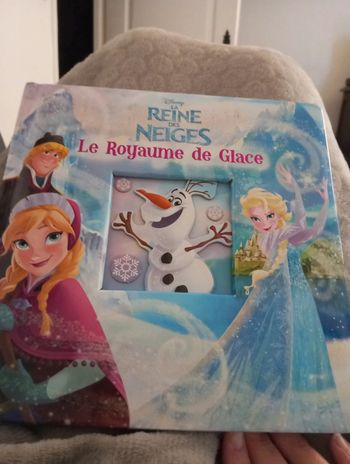 Livre reine des neiges