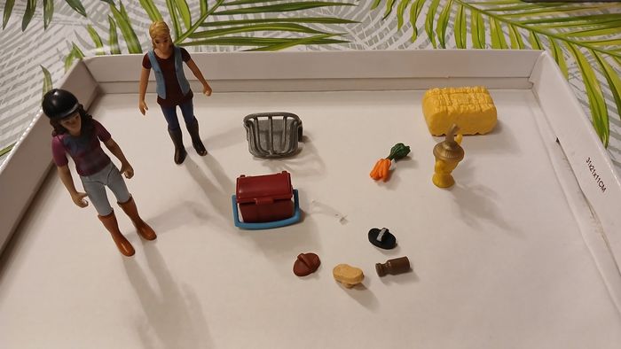 Ensemble schleich - photo numéro 5