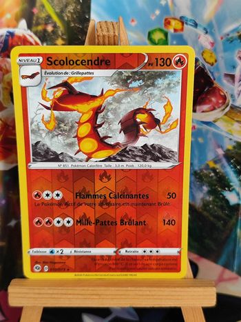 Scolocendre reverse rare 10/73 la voie du maître