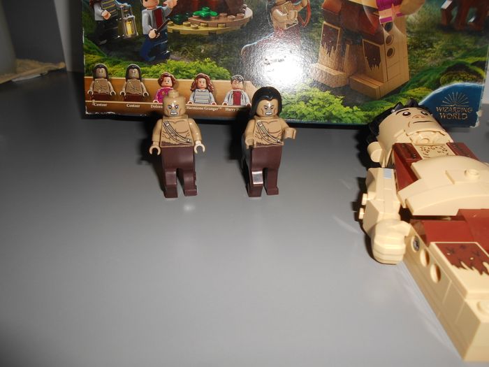 Lego Harry Potter n°75967: La forêt interdite: la rencontre d'ombrage - photo numéro 4
