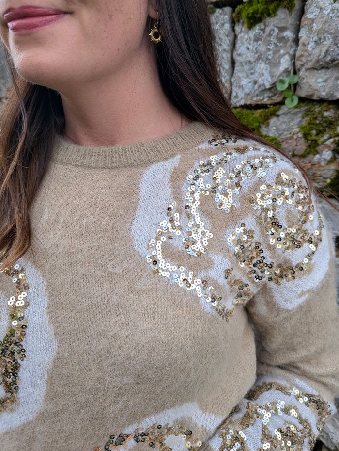 Pull beige camel Fleurs sequins col rond
Taille unique - photo numéro 3