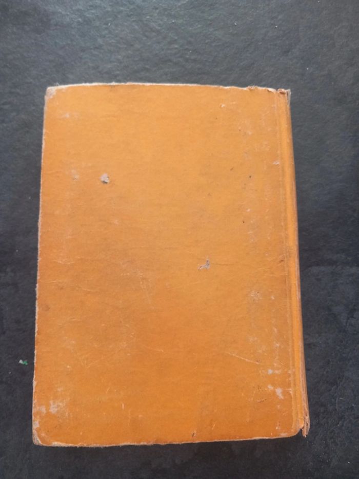 L'histoire d'une toute petite fille - photo numéro 2