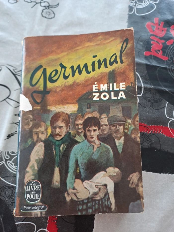 Livre Germinal, Émile Zola