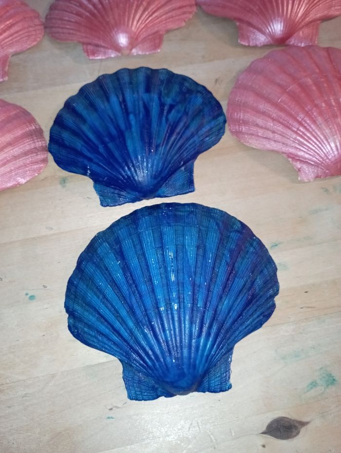 Coquillage de déco - photo numéro 2